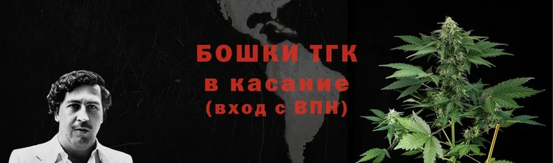 цены   Губкин  Бошки Шишки тримм 